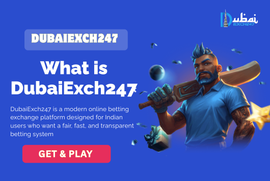 What is DubaiExch247