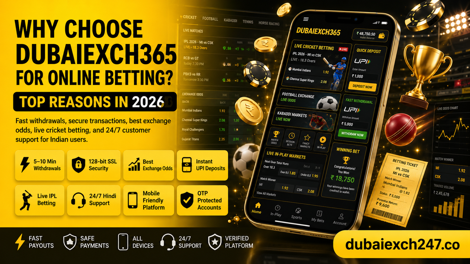Why Choose DubaiExch365
